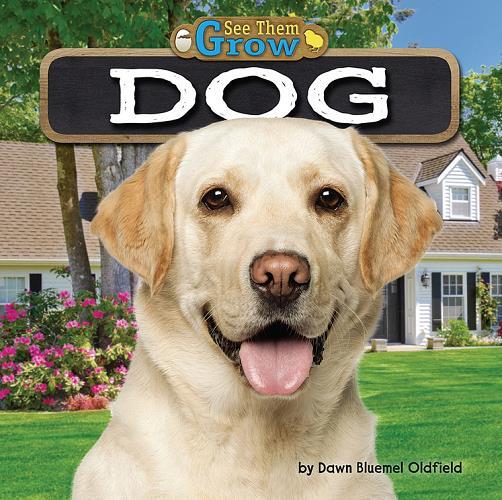 Dog (See Them Grow, Little Bites! Reader)