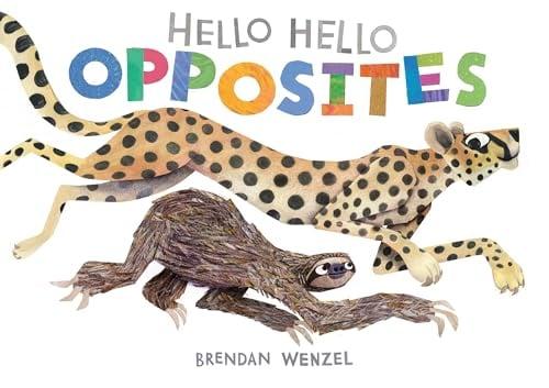 Opposites (Hello Hello)