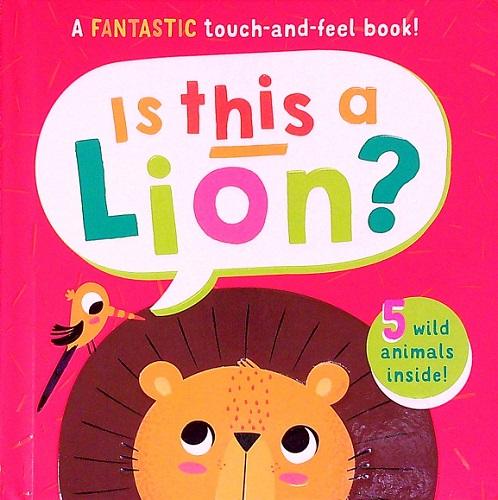 Is This a Lion