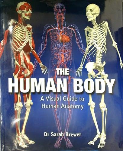 The Human Body: A Visual Guide to Human Anatomy