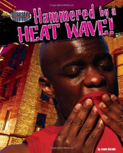 Hammered by a Heat Wave! (Disaster Survivors)