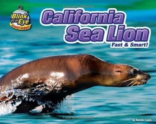California Sea Lion: Fast & Smart! (Blink of an Eye: Superfast Animals!)