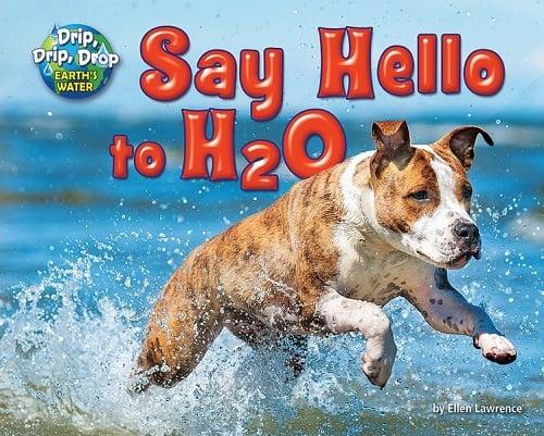 Say Hello to H2O (Drip, Drip, Drop: Earth's Water)