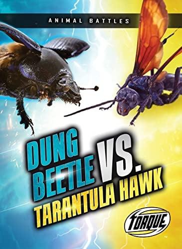 Dung Beetle vs. Tarantula Hawk (Animal Battles)