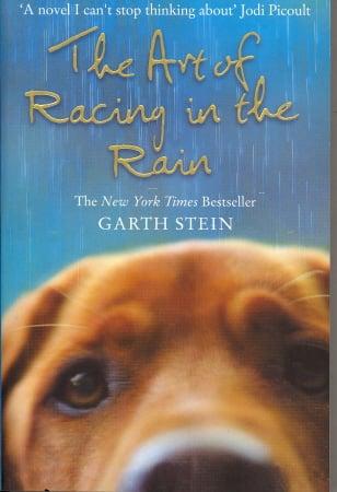 The Art of Racing in the Rain
