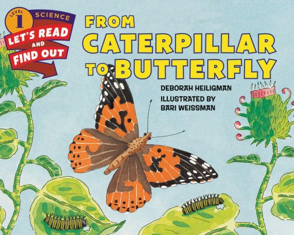 From Caterpillar to Butterfly (Let's-Read-and-Find-Out Science, Level 1)