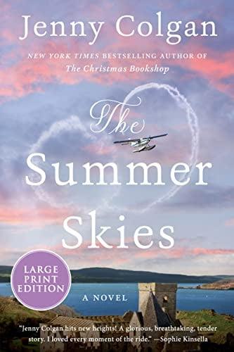 The Summer Skies (Large Print)