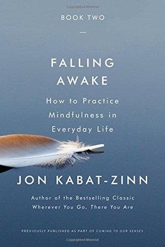 Falling Awake: How to Practice Mindfulness in Everyday Life (Book Two)