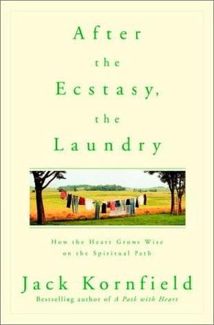 After the Ecstasy, the Laundry