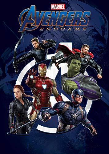 Marvel Avengers Endgame