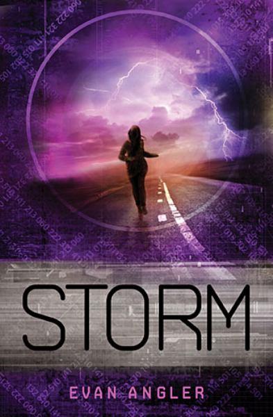 Storm (Swipe, Bk. 3)