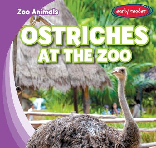 Ostriches at the Zoo (Zoo Animals)
