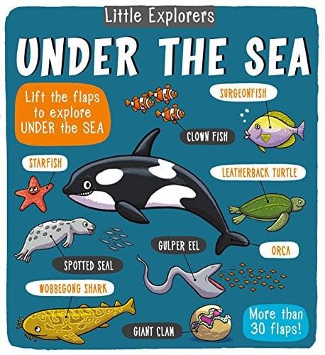 Under The Sea (Little Explorers)