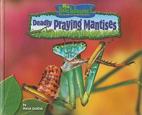 Deadly Praying Mantises (No Backbone! The World of Invertebrates)