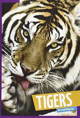 Tigers (Wild Cats)