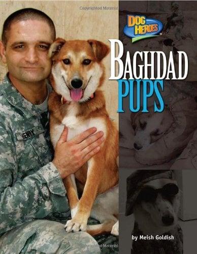 Baghdad Pups (Dog Heroes)