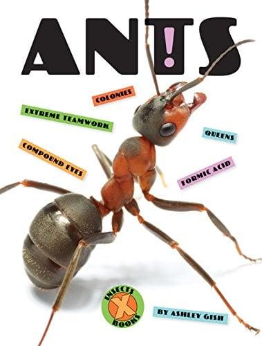 Ants (X-Books: Insects)
