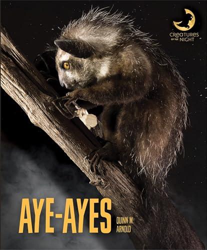 Aye-Ayes (Creatures of the Night)