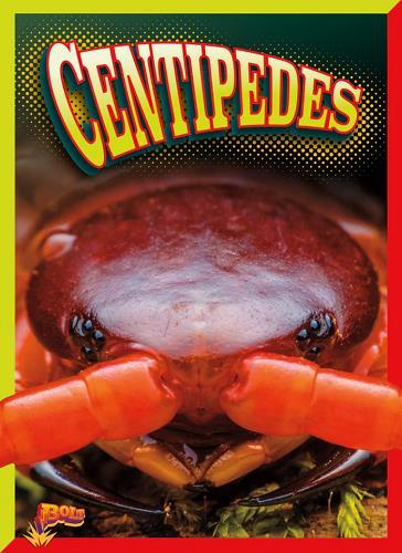 Centipedes (Crawly Creatures)