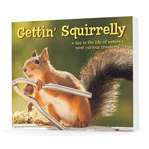 Gettin Squirrelly