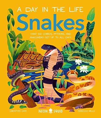 Snakes: What Do Cobras, Pythons, and Anacondas Get Up to All Day? (A Day in the Life)