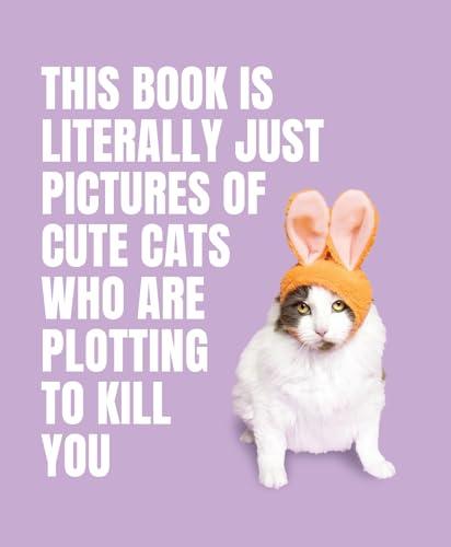 This Book Is Literally Just Pictures of Cats Plotting to Kill You