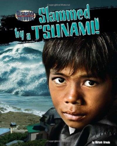 Slammed by a Tsunami! (Disaster Survivors)