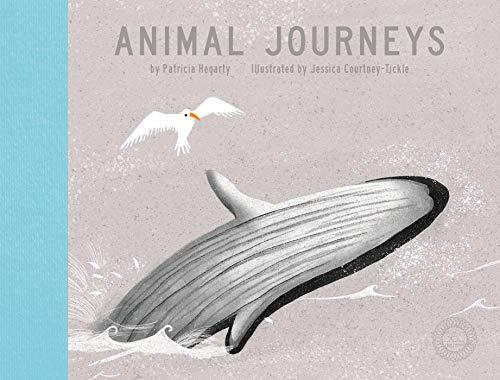 Animal Journeys (360 Degrees)