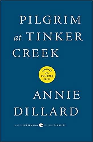 Pilgrim at Tinker Creek