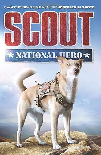 Scout: National Hero