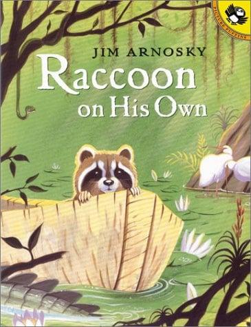 Raccoon On His Own