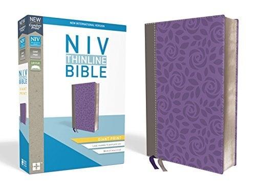 NIV Giant Print Thinline Bible (Gray/Purple, Leathersoft)