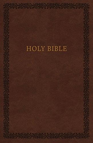 NIV Soft Touch Holy Bible (Brown Leathersoft)
