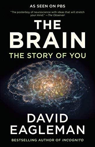 The Brain: The Story of You