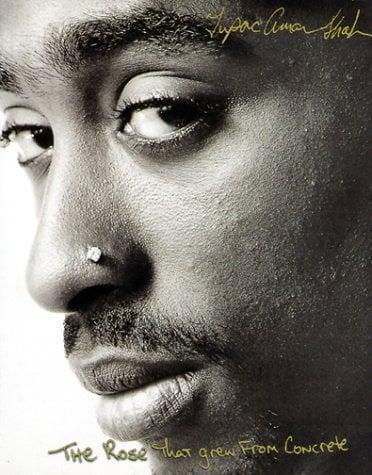 The Rose that Grew from Concrete