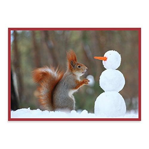 Snow Friends Holiday Half Notecards