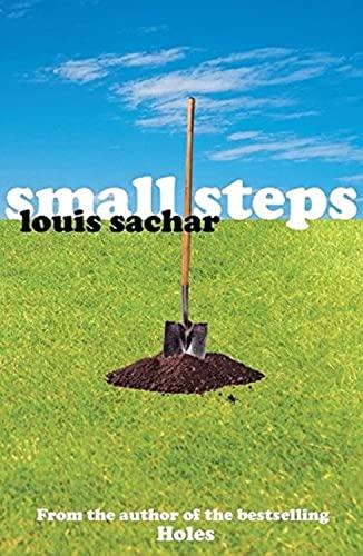Small Steps (Holes, Bk. 2)