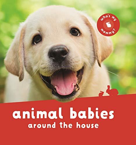 Animal Babies Around the House (Who's My Mommy?)