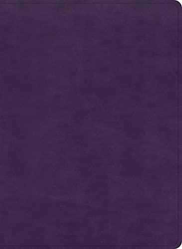 KJV Study Bible (Indexed, Plum LeatherTouch)