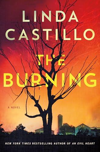 The Burning (Kate Burkholder, Bk. 16)