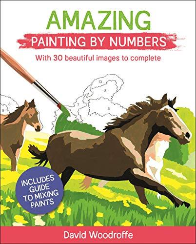 Amazing Painting by Numbers: With 30 Beautiful Images to Complete