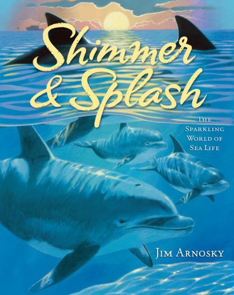 Shimmer & Splash