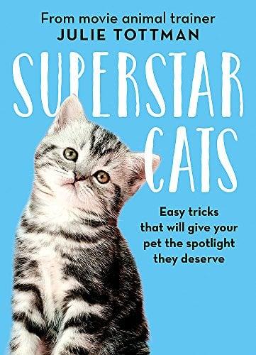 Superstar Cats: Easy Tricks That Will Give Your Pet the Spotlight They Deserve
