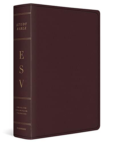 EVS, Large Print, Study Bible (Burgundy, Bonded Leather)