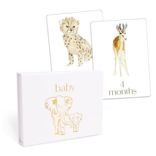 Baby First Year Milestone Cards: 12 Monthly Cards for Photos and Display