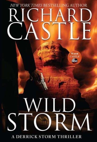 Wild Storm (Derrick Storm)