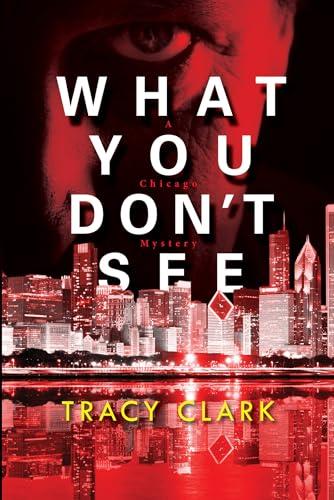 What You Don't See (A Chicago Mystery, Bk. 3)