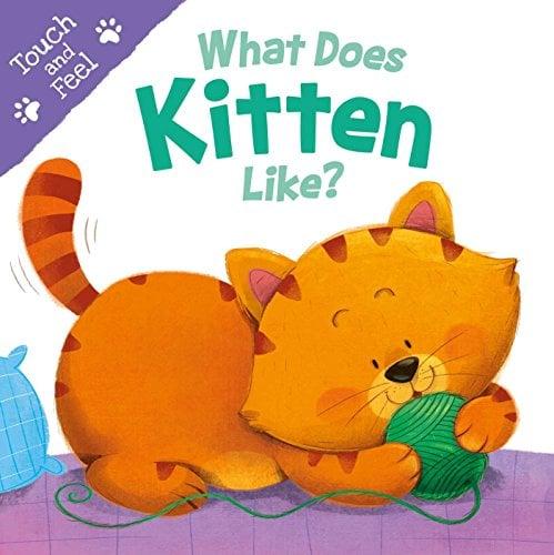 What Does Kitten Like Touch & Feel