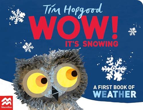 Wow! It's Snowing: A First Book of Weather (Wow! Said the Owl, Bk. 3)