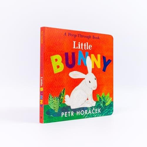 Little Bunny: A Peep-Through Book